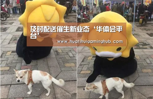 及时配送催生新业态‘华体会平台’(图4) 华体会赛事