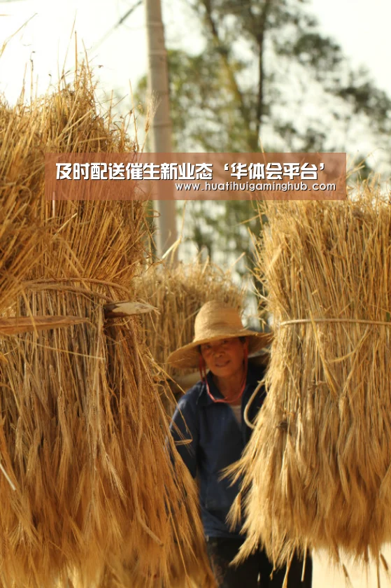及时配送催生新业态‘华体会平台’(图3) 华体会赛事