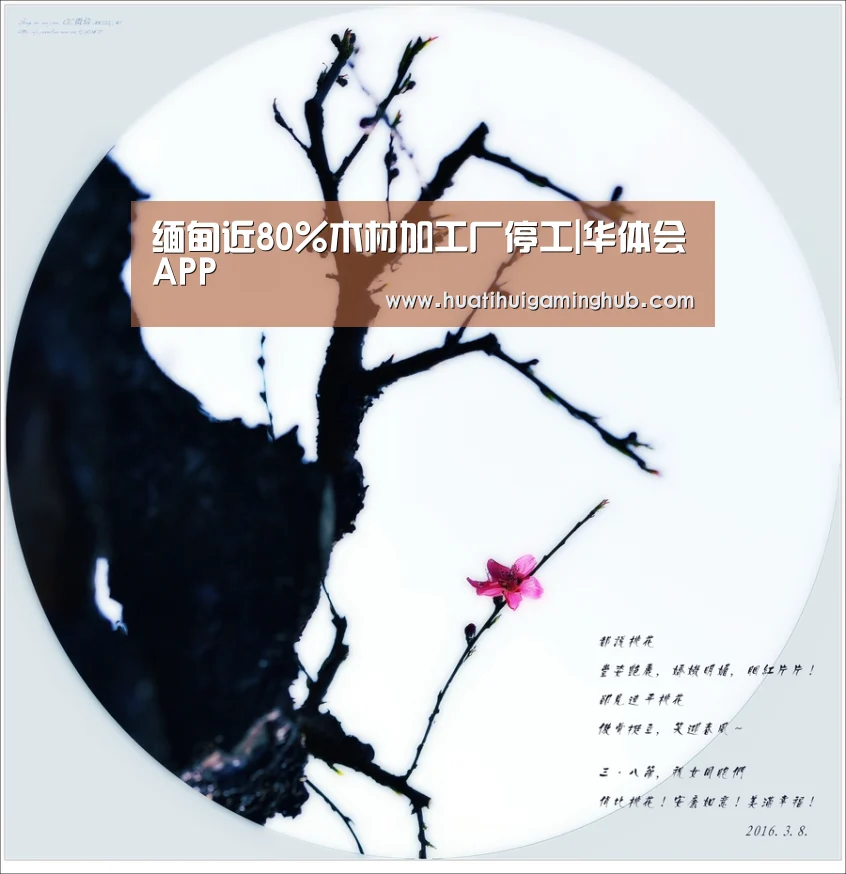 缅甸近80%木材加工厂停工|华体会APP(图1) 华体会APP