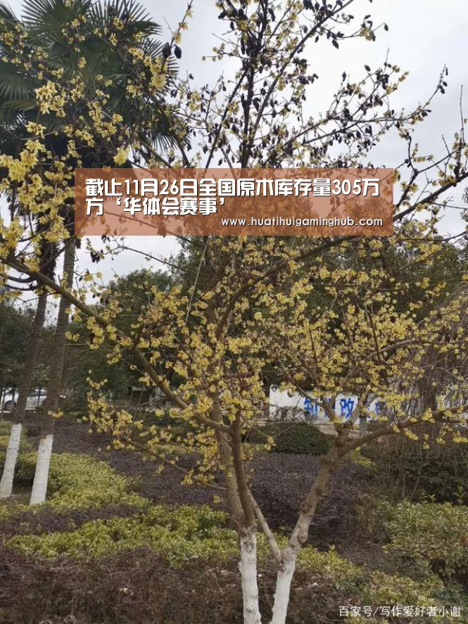 截止11月26日全国原木库存量305万方‘华体会赛事’(图3) 华体会APP