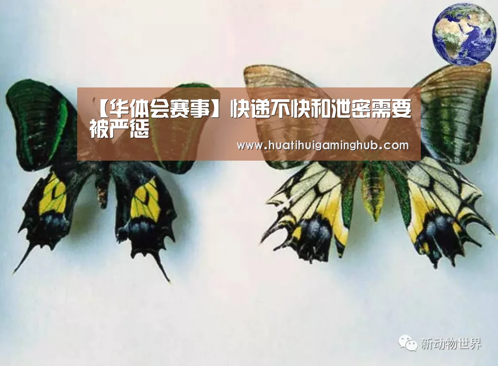 华体会赛事